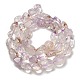 Natürlichen Amethyst Perlen Stränge&nbsp;G-P497-01E-60-3