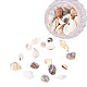 Chgcraft 1 boîte environ 500g coquillages océaniques mixtes coquillages naturels perles de coquille en spirale pour aquarium décor à la maison plage thème fête bougie faisant la décoration de mariage iy artisanat BSHE-PH0003-03-1