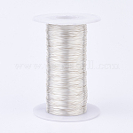 Eco-Friendly Round Copper Wire, Copper Beading Wire for Jewelry Making, Long-Lasting Plated, Silver, 28 Gauge, 0.3mm, about 3215.22 Feet(980m)/500g