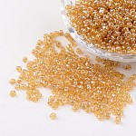 Perles de rocaille en verre rondes, trans. couleurs lustered, verge d'or pale, taille: environ 3mm de diamètre, Trou: 1mm, environ 1097 pcs/50 g