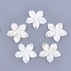Colgantes de concha de agua dulce tallados, flor, blanco cremoso, 31~34.5x32~35.5x3~4mm, agujero: 1.6 mm