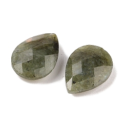 Natur Labradorit Cabochons&nbsp;G-C146-05E