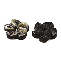 Натуральные черные резные бусины из ракушек&nbsp;SHEL-A006-11A