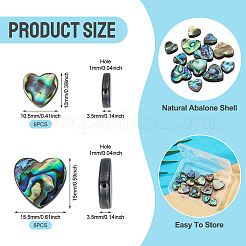 12pcs 2 Arten natürliche Abalone-Muschel / Paua-Muschelperlen&nbsp;SHEL-TA0001-41