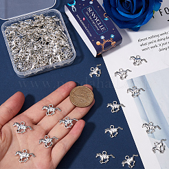 120 шт. Подвески из сплава в тибетском стиле&nbsp;TIBEP-SC0003-09