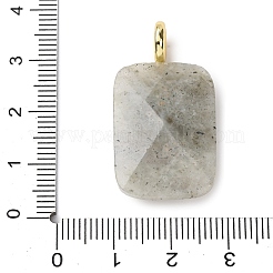 Facettierte Anhänger aus Natursteinen&nbsp;G-B186-01G