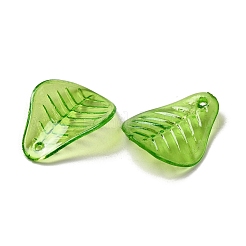 Подвеска акриловая прозрачная&nbsp;OACR-E039-69F