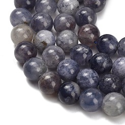 Perles naturelles Iolite brins&nbsp;X-G-G300-A04-8mm