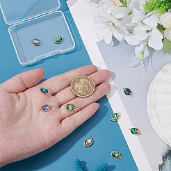 10 шт. латунные подвески-подвески в форме овала из натуральной ракушки пауа&nbsp;KK-BC0014-86