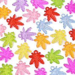 Прозрачные акриловые подвески&nbsp;PL711Y