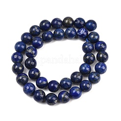 Naturales lapis lazuli de hebras de abalorios&nbsp;G-G953-03-10mm