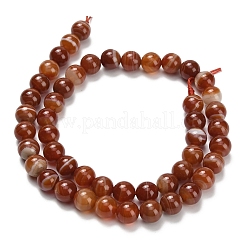 Натуральные полосатые агатовые бусы&nbsp;G-L642-B04-8mm