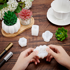 4 stampo per fondente a forma di piante succulente&nbsp;DIY-GF0003-37