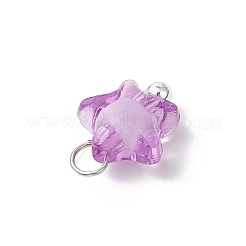 Прозрачные акриловые подвески&nbsp;PALLOY-JF03839-01