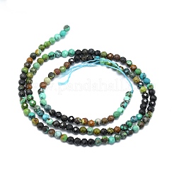 Perline Chrysocolla naturale fili&nbsp;G-P457-A02-03