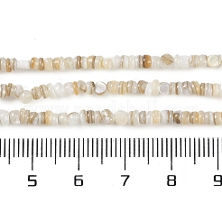 Нити бусин из натуральных пресноводных ракушек&nbsp;BSHE-H109-13A