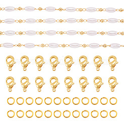 DIY пластиковые жемчужные овальные бисерные латунные звенья браслет-цепочка наборы для изготовления ожерелья&nbsp;DIY-TA0009-62