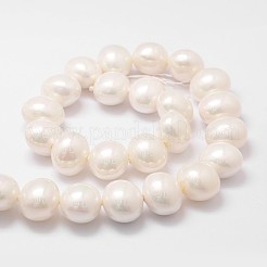 Shell fili di perle perline&nbsp;BSHE-L028-01-16x18