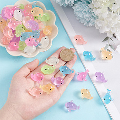 56шт 7 цвета светящаяся смола украшение дисплея&nbsp;DJEW-GA0001-43