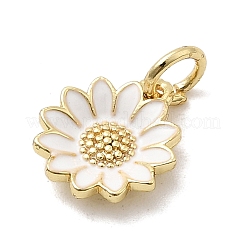 Латунь эмаль подвески&nbsp;KK-P338-19G-03