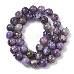 Naturperlen Stränge charoite&nbsp;G-C270-O02-10
