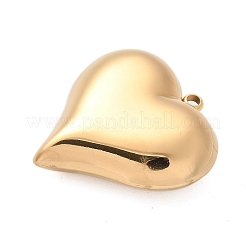 Подвески из нержавеющей стали 304&nbsp;X-STAS-Q349-02B-G