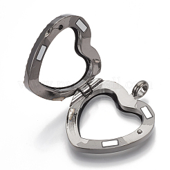 Сплав магнитные подвески медальон&nbsp;PALLOY-T052-11B