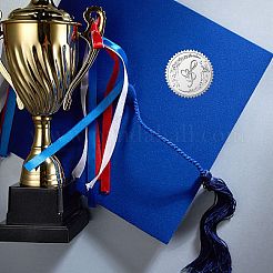 Круглые пластиковые наклейки с тиснением из серебряной фольги&nbsp;DIY-WH0503-009