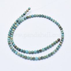 Natürliche Aqua Terra Jaspis Perlen Stränge&nbsp;LS-G-E444-14A-4mm