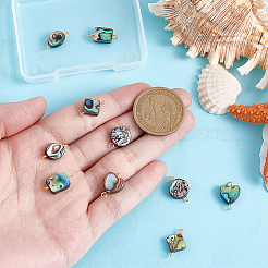 10 шт.&nbsp;PALLOY-WH00011