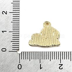 Цинк подвески эмали сплава&nbsp;FIND-Z080-01G-03