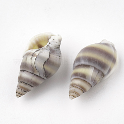 Perle di conchiglia a spirale&nbsp;SSHEL-S251-05