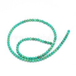 Fili di perle rotonde di magnesite naturale&nbsp;TURQ-E022-38A-4mm