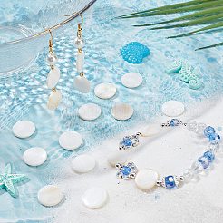 4 нить бусины из натуральных пресноводных ракушек&nbsp;BSHE-SC0001-20A