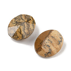 Cabochon di diaspro dell'immagine naturale&nbsp;G-C146-02C