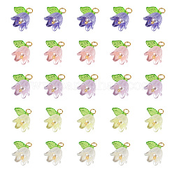 25шт 5 цвета акриловые подвески&nbsp;KY-TA0001-22