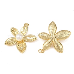 Латунные подвески&nbsp;KK-L255-23G