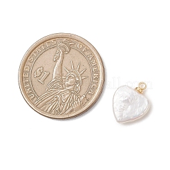 Натуральный жемчуг барокко подвески с жемчугом кеши&nbsp;PALLOY-JF04777-02