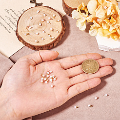 40 шт. подвески из искусственного жемчуга из латуни АБС-пластика двух цветов&nbsp;KK-TA0001-73