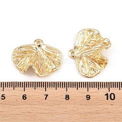 Aluminium Anhänger & Charms&nbsp;PALLOY-T096-01G