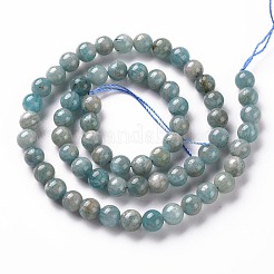 Fili di perline amazonite naturale&nbsp;X-G-S333-6mm-005