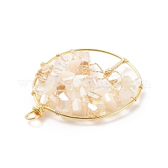 Pendentifs en verre plaquent&nbsp;PALLOY-JF01546-05