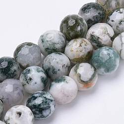 Chapelets de perles en agate d'arbre naturelle, facette, ronde, 6mm, Trou: 1mm, Environ 62 pcs/chapelet, 15.3 pouce