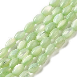Brins de perles de coquillages naturels de troca, teinte, riz, vert clair, 5x3~3.5mm, Trou: 0.7mm, Environ 81~82 pcs/chapelet, 15.39''~15.51'' (39.1~39.4 cm)
