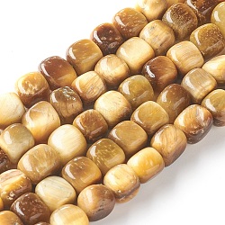 Natural Tiger Eye Beads Strands, Dyed, Cube, Goldenrod, 7~8x7~8x7~8mm, Hole: 0.8mm, about 52pcs/strand, 15.16 inch(38.5cm)
