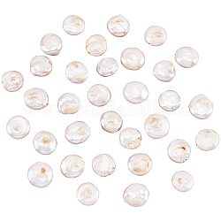 Nbeads natürliche Keshi-Perlenstränge, kultivierte Süßwasserperle, Flachrund, gainsboro, 11~12.5x4~7 mm, Bohrung: 0.8 mm, ca. 34~35 Stk. / Strang, 15.28 Zoll ~ 15.67 Zoll (38.8 cm ~ 39.8 cm), 1 Strang / box