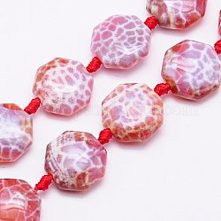 Natural Fire Crackle Agate Beads Strands, Dyed, Octagon, Light Coral, 16x16x7mm, Hole: 1mm