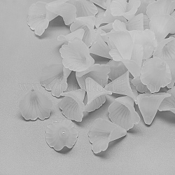 Transparentes bouchons acrylique de perles, mat, clair, 19~20x18~19x17mm, Trou: 1.5mm