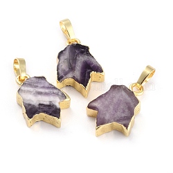 Natural Amethyst Pendants, with Golden Brass Findings, Leaf, 18~18.5x13x5~5.5mm, Hole: 5.5x3.5mm