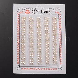 Perle coltivate d'acqua dolce perla naturale, mezzo forato, rondelle bisque, 3~3.5x3mm, Foro: 0.8 mm